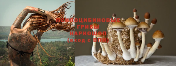 трава Алзамай