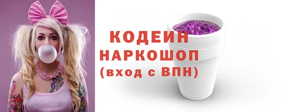 крисы Абаза