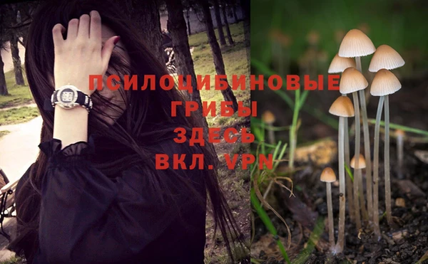 трава Алзамай